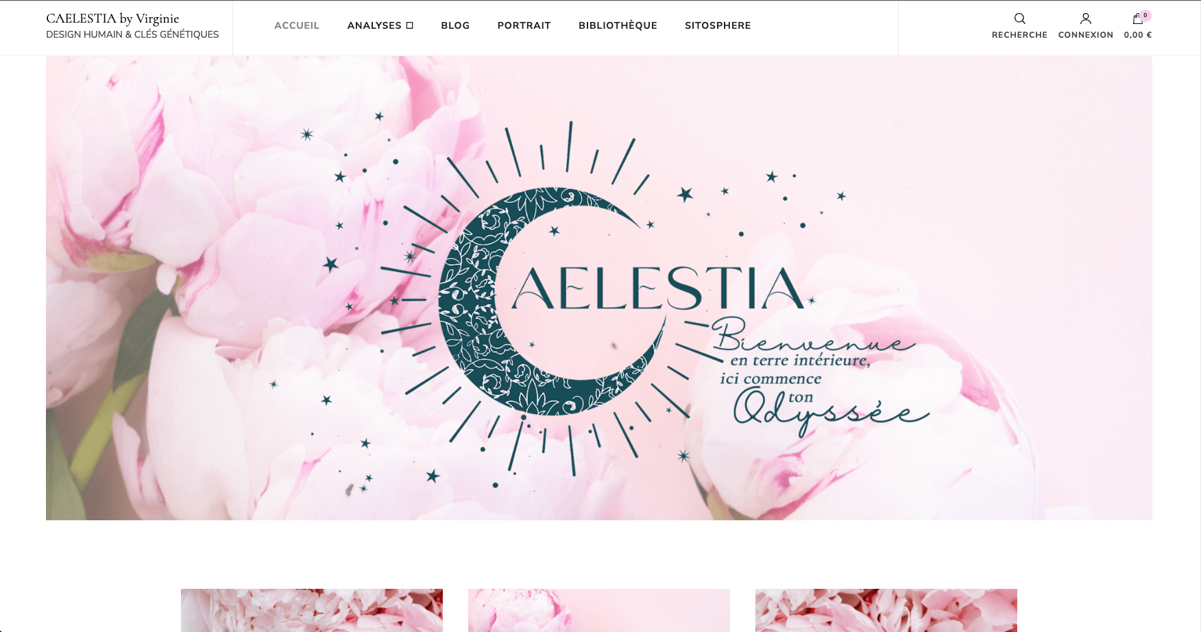 création de site web auteur. Réalisation Ava Lone